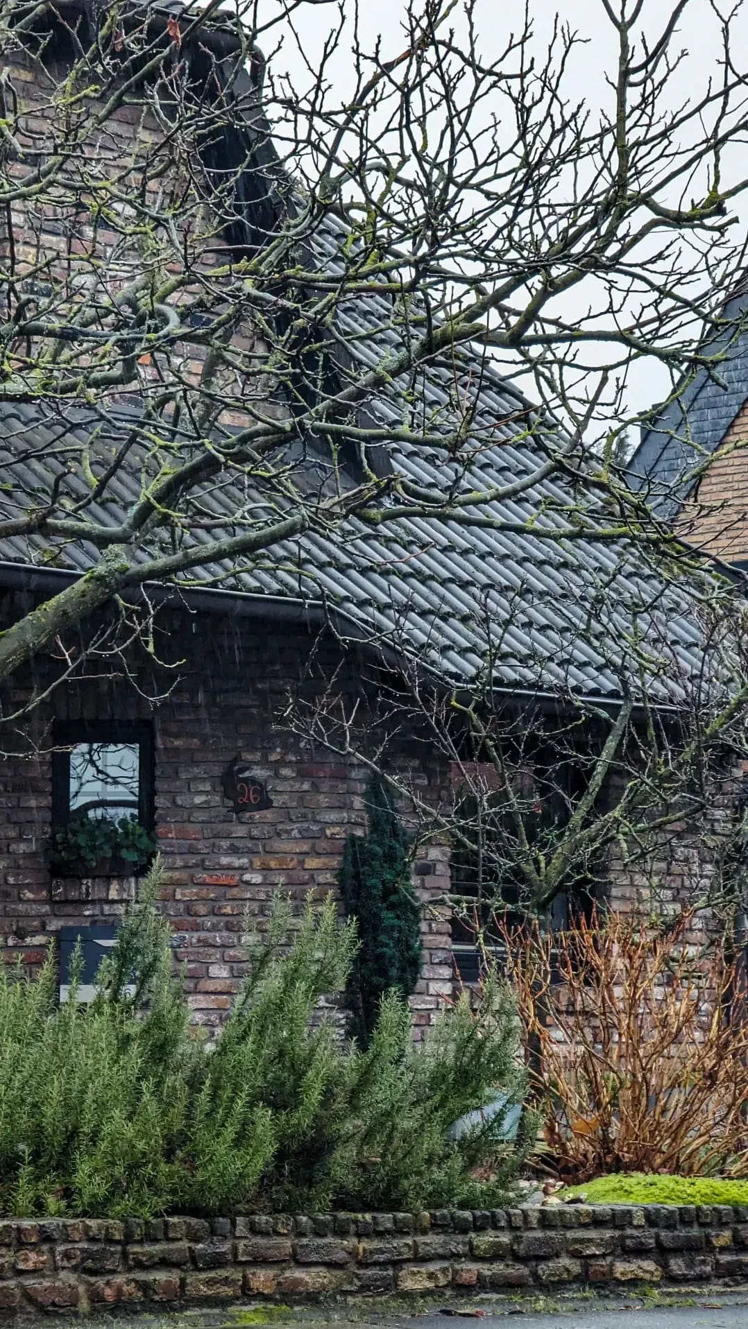 Spiegl Gartenbau